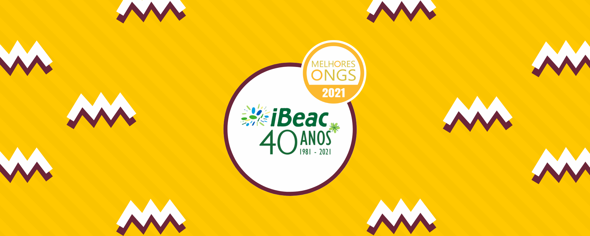IBEAC é uma das 100 Melhores ONGs de 2021